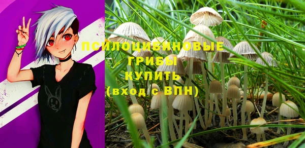альфа пвп Новодвинск