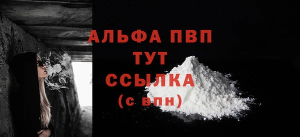 альфа пвп Новодвинск