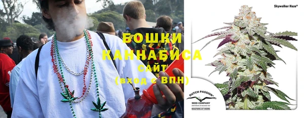 альфа пвп Новодвинск