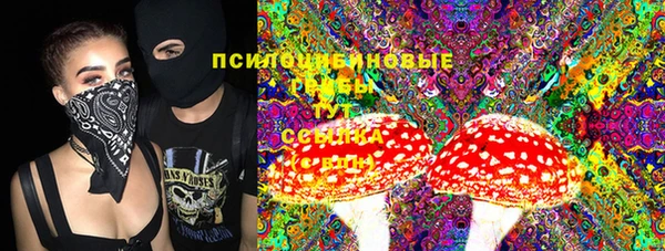 альфа пвп Новодвинск