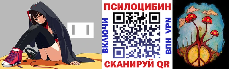 Галлюциногенные грибы MAGIC MUSHROOMS  Купить где  Нолинск 